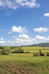 Summertime rural landscape in the UK.