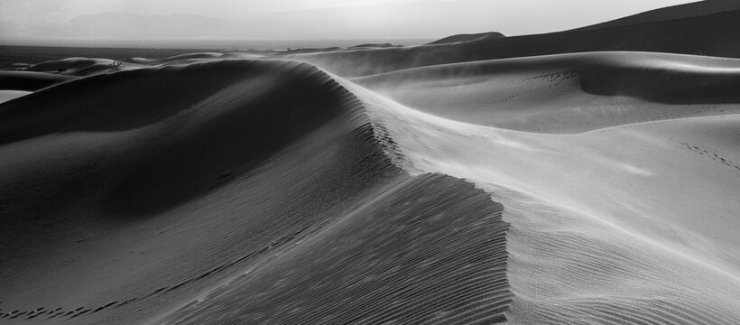 Mesquite Wash