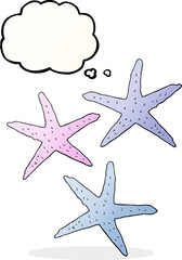Fototapeta na wymiar freehand drawn thought bubble cartoon starfish