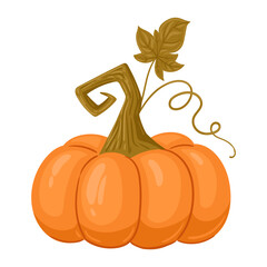 Cute pumpkin. Cartoon halloween squash, fall harvest gourd. Autumn thanksgiving and halloween pumpkin flat vector illustration