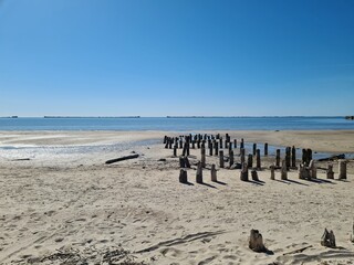 wooden piles in the sea