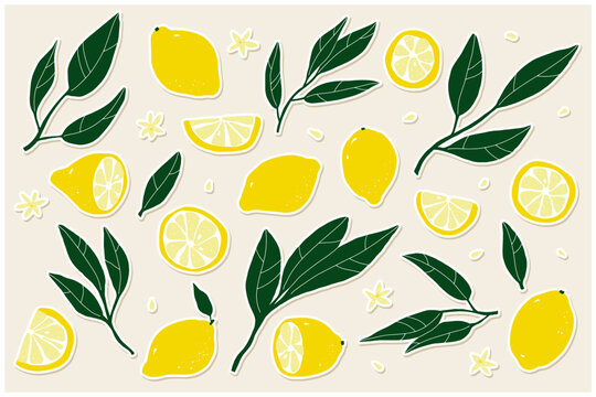 Lemon sticker set. Hand-drawn lemons on a beige background. Slice, halves, whole fruit, leaves, flowers, seeds. Cartoon citrus tropical collection. Healthy food sign. Vector botanical illustration