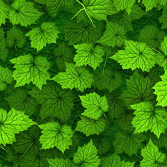 Fototapeta na wymiar Green vine leaves