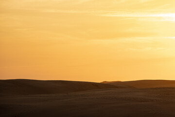 Fototapeta na wymiar Golden desert