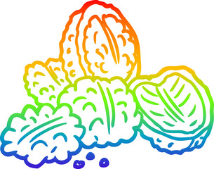rainbow gradient line drawing of a walnuts