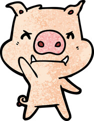 angry cartoon pig
