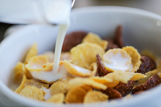 Close-up of milk being poured into a bowl of chocolate and vanilla breakfast cereal