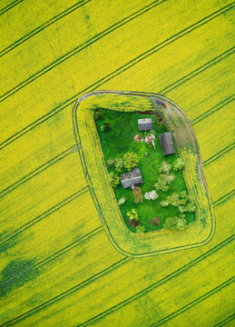 Aerial view of abandoned properties surrounded by rapeseed fields, Lithuania