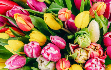 Colourful tulip flowers bouquet close-up