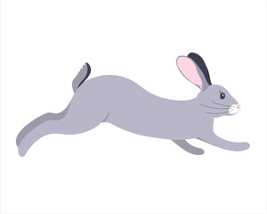 Vector graphics of a gray rabbit. The furry animal jumps, runs. Easter bunny on a white background.
