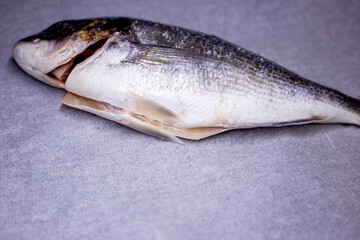 Fresh raw dorado fish on grey background. Top view.