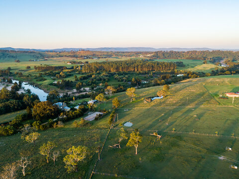 Trees beside Hunter River looking from Aberglasslyn to Maitland Vale