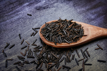 Macro photo of wooden spoon with raw organic black rice  in it at blue background.