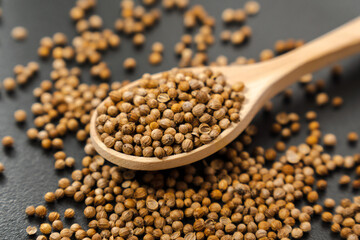 Coriander seeds, close-up, Chinese parsley, dhania and cilantro, used as aromatic and flavorful...