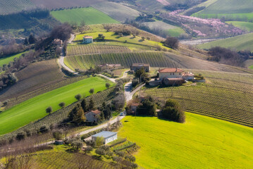 Countryside road among green agricultural fields and hills