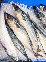 mackerel fish in fish market , Fresh mackerel pile top view.