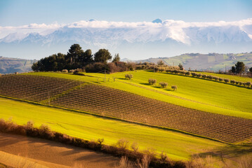 Countryside landscape, green agricultural fields among hills