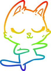 rainbow gradient line drawing of a calm cartoon cat