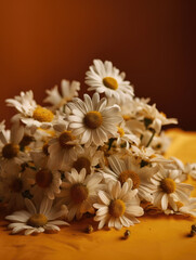 Fototapeta na wymiar Bunch of white daisies on a yellow background. Generative AI