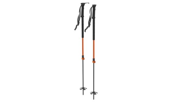 Ski poles
