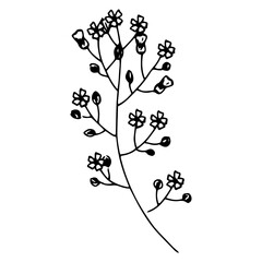 This is an illustration that I made myself.
