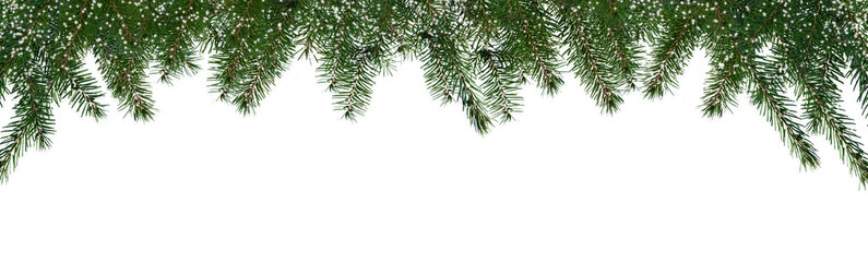 border of isolated green christmas tree branches at the edge on transparent background with sparkling white snowflakes, overlay decoration texture spruce - obrazy, fototapety, plakaty