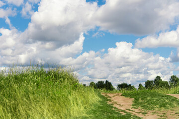 Fresh green field with grass and blue sky a cloudy day. Spring and summer landscape. Beauty of nature is around us.