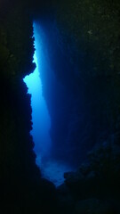 cave diving underwater exploring caves with fish and having fun ocean scenery