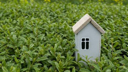 Model house placed on the lawn with copy space. Green  house concept.