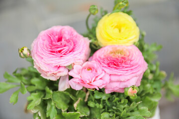 Ranunculus symbolize charm, beauty, and radiance. They are popular for their vibrant colors and delicate petals, often associated with love and affection