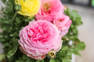Ranunculus symbolize charm, beauty, and radiance. They are popular for their vibrant colors and delicate petals, often associated with love and affection