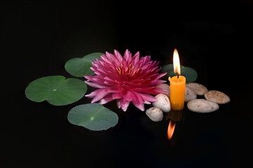 Obraz na płótnie Canvas Beautiful water lily with green leaves, burning candle, and stones in the pond on dark background