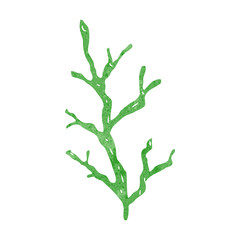 freehand retro cartoon seaweed © lineartestpilot