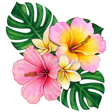 watercolor tropical flower composition