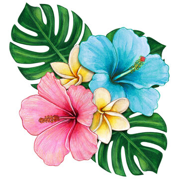 watercolor tropical flower composition