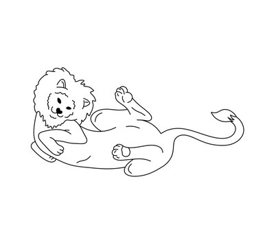 Vector isolated one single lion lying on back in funny pose colorless black and white contour line easy drawing