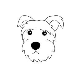 Vector isolated one single shaggy terrier dog head face portrait colorless black and white contour line easy drawing