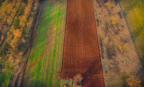 Aerial view of farmed fields, Alessandria, Piedmont, Italy