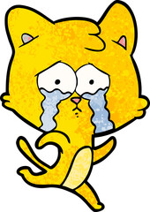 cartoon crying cat