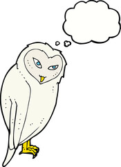 cartoon owl with thought bubble
