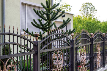 Elegant Wrought Iron Fence