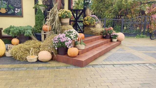 autumn outdoor decorations fall ornaments door entrance flowers pumpkins baskets ornaments. thanksgiving decorations in zelenogradsk town in Russian city. hapy thanksgiving day halloween preparations