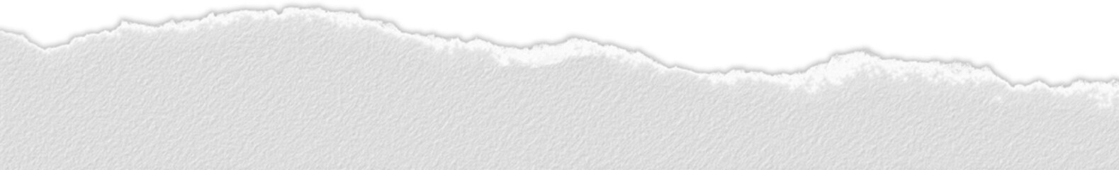 Piece of Torn Embossed Paper