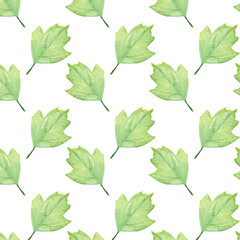 Pattern of watercolor green leaves elements.Botanical pattern solated on white background suitable for Wedding Invitation, save the date, thank you, or greeting card.