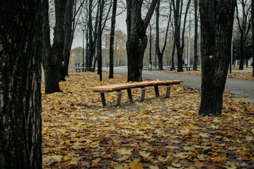 Central park in Kharkov in autumn season.