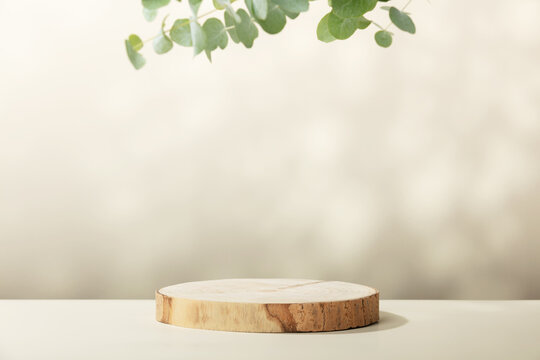 Wood slice podium with eucalyptus leaves on beige background for cosmetic product mockup