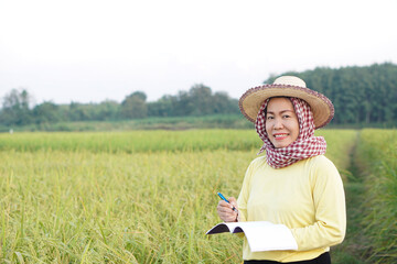 Asian woman farmer is at paddy field, wears hat, yellow shirt, holds notebook paper, inspects growth and disease of plants. Concept, Agriculture research and study to develop crops.