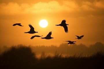 Fototapeta na wymiar Sunrise new day and flying flock of bird. AI generative