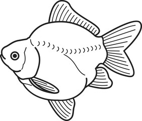 Tamasaba Goldfish illustration.