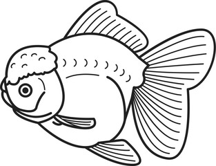 Oranda Goldfish illustration.